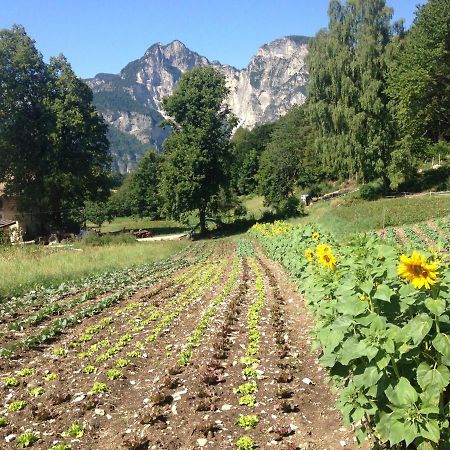 Bauernhof Hof Unternberg Appartement Magre all' Adige Buitenkant foto