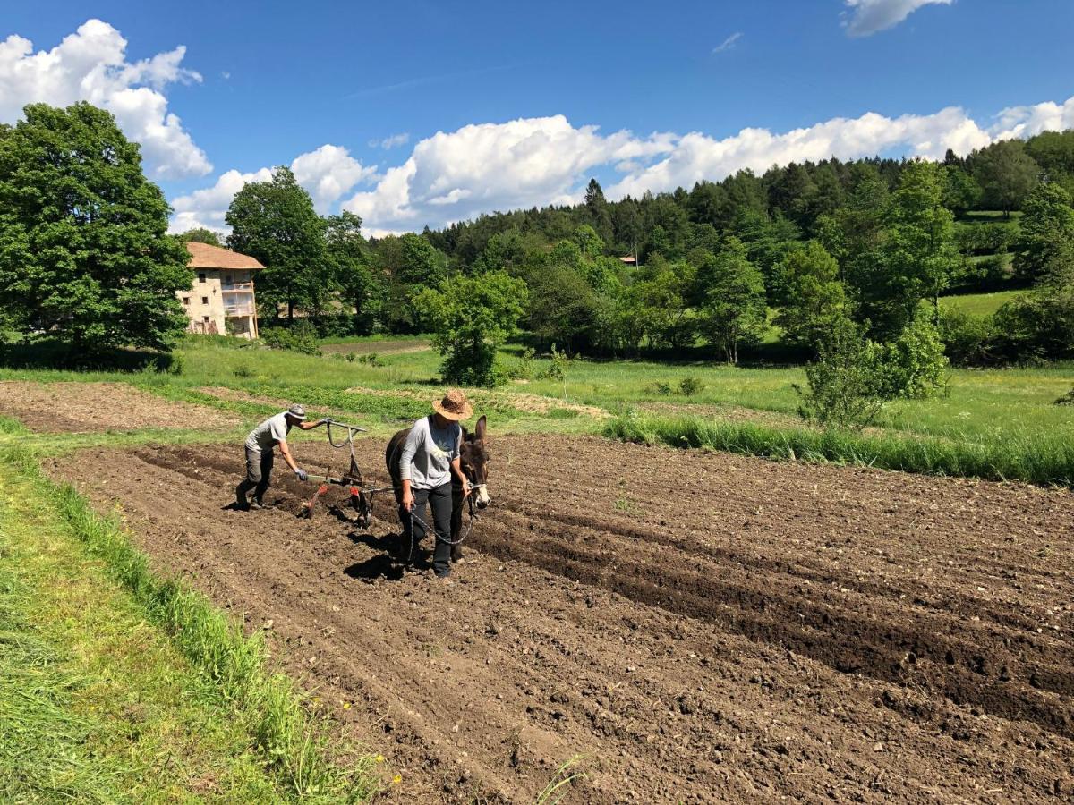 Bauernhof Hof Unternberg Appartement Magre all' Adige Buitenkant foto